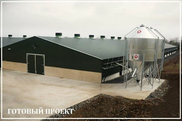 Этапы возведения птицефабрики от завода ВелесТент-жлр
